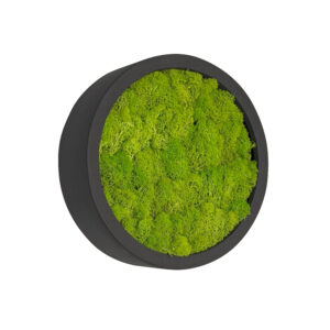 Moss painting LINN Fiberstone 30cm