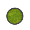 Mosschilderij LINN Fiberstone 30cm. - Afbeelding 3