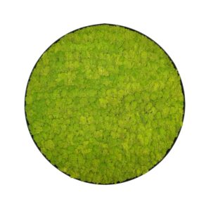 Moss painting LINN Metal 100cm