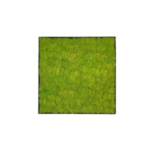 Moss painting LINN Metal 50x50cm