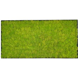 Moss painting LINN Metal 50x100cm