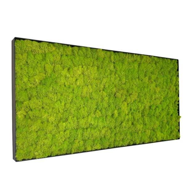 Mosschilderij LINN Metal 50x100cm. - Afbeelding 4