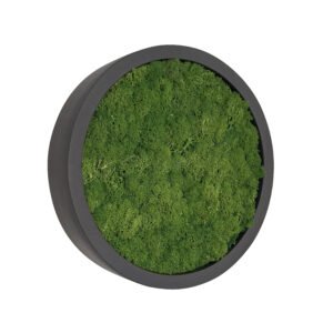 Moss painting FAY Fiberstone 40cm