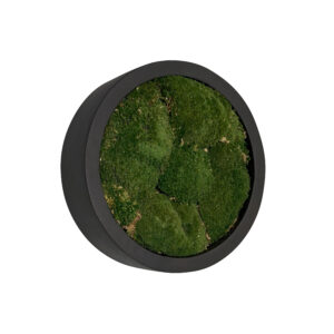 Ball Moss Painting JADE Fiberstone 30cm