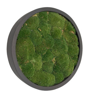 Ball Moss Painting JADE Fiberstone 50cm