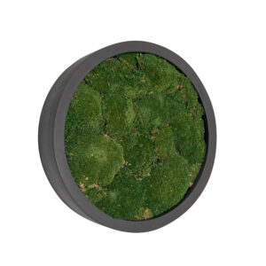 Ball Moss Painting JADE Fiberstone 40cm