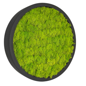 Moss painting LINN Fiberstone 50cm
