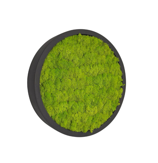 Mosschilderij LINN Fiberstone 50cm. - Afbeelding 4