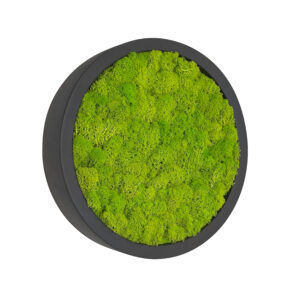 Moss painting LINN Fiberstone 40cm