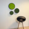 Mosschilderij LINN Fiberstone 30cm. - Afbeelding 5