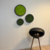 Mosschilderij LINN Fiberstone 30cm. - Afbeelding 6