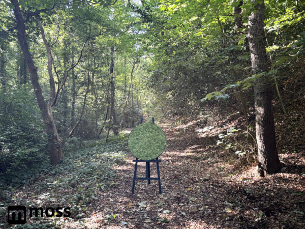 Mosschilderij Leah METAL 60cm. - Afbeelding 6