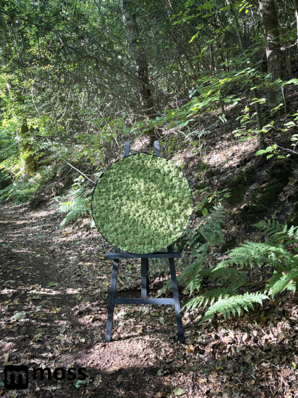Mosschilderij Leah METAL 60cm. - Afbeelding 8