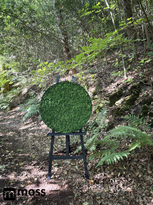 Mosschilderij FAY METAL 60cm. - Afbeelding 6