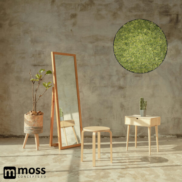 Mosschilderij Leah METAL 60cm. - Afbeelding 3