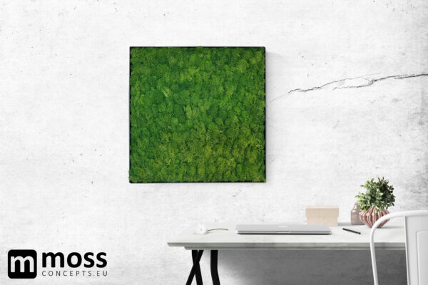Mosschilderij FAY METAL 50x50cm. - Afbeelding 6