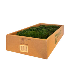 Ball moss moss green 300 grams