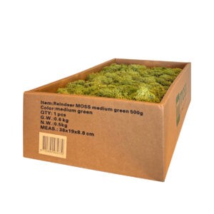 Reindeer moss medium green 500 grams