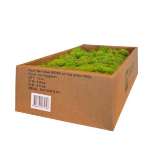 Reindeer moss spring green 500 grams